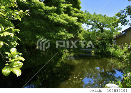 静岡県掛川市　国史跡　横須賀城　三日月池 103652191