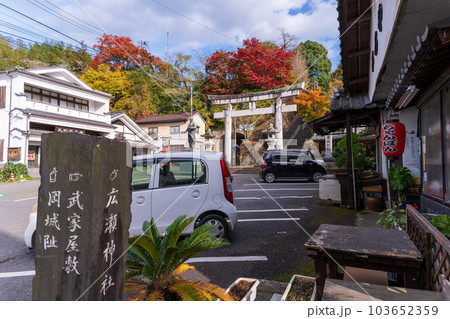 紅葉に映える岡城跡　廣瀬神社周辺の街並み風景　大分県竹田市 103652359