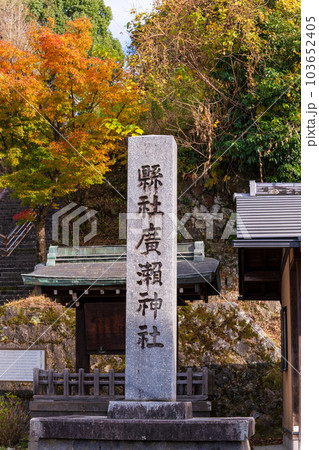 紅葉に映える岡城跡 廣瀬神社「軍神」広瀬武夫中佐を祀った神社(岡城跡) 大分県竹田市 紅葉に映える岡城跡 廣瀬神社「軍神」広瀬武夫中佐を祀った神社(岡城跡) 大分県竹田市 103652405