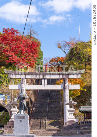 紅葉に映える岡城跡 廣瀬神社「軍神」広瀬武夫中佐を祀った神社(岡城跡) 大分県竹田市 紅葉に映える岡城跡 廣瀬神社「軍神」広瀬武夫中佐を祀った神社(岡城跡) 大分県竹田市 103652408