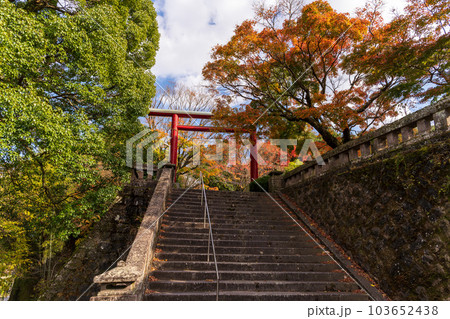 紅葉に映える岡城跡 廣瀬神社「軍神」広瀬武夫中佐を祀った神社(岡城跡) 大分県竹田市 紅葉に映える岡城跡 廣瀬神社「軍神」広瀬武夫中佐を祀った神社(岡城跡) 大分県竹田市 103652438