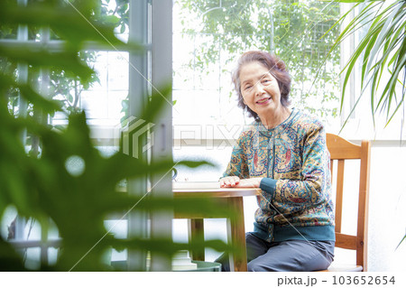 サンルームで趣味を楽しむ日本人シニア女性 103652654