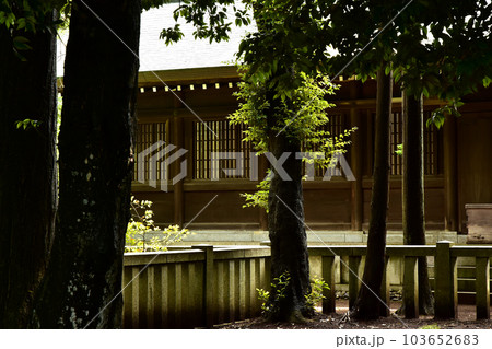 茨城県水戸市の護国神社 103652683