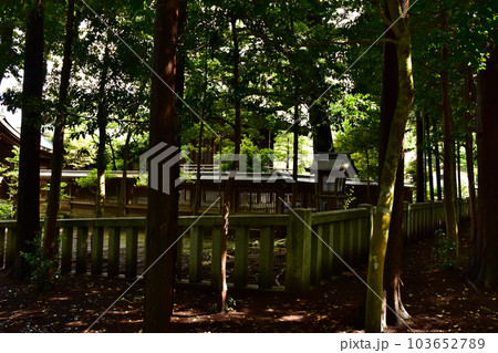 茨城県水戸市の護国神社 茨城県水戸市の護国神社 103652789