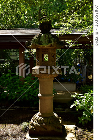 茨城県水戸市の護国神社 茨城県水戸市の護国神社 103652907