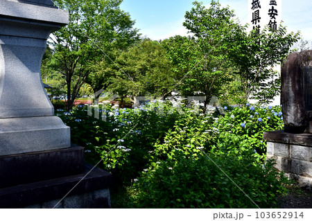 茨城県水戸市の護国神社 103652914