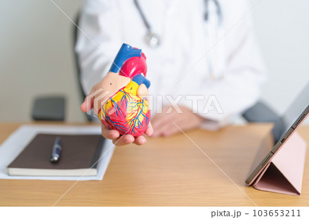Doctor with human Heart anatomy model and tablet. Cardiovascular Diseases, Atherosclerosis, Hypertensive Heart, Valvular Heart, Aortopulmonary window, world Heart day and health concept Doctor with human Heart anatomy model and tablet. Cardiovascular Diseases, Atherosclerosis, Hypertensive Heart, Valvular Heart, Aortopulmonary window, world Heart day and health concept 103653211