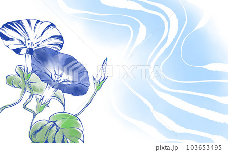 朝顔と川の流れ 103653495