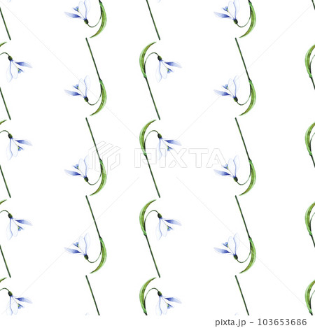 Snowdrops. Blossoming bud with leaves. Watercolor seamless pattern. Can be used for textile design, paper products Snowdrops. Blossoming bud with leaves. Watercolor seamless pattern. Can be used for textile design, paper products 103653686
