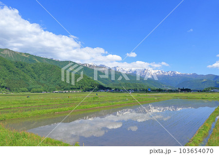 白馬村 山麓から望む初夏の北アルプス 白馬村 山麓から望む初夏の北アルプス 103654070