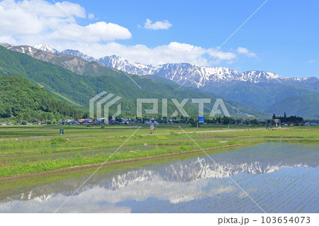 白馬村 山麓から望む初夏の北アルプス 白馬村 山麓から望む初夏の北アルプス 103654073