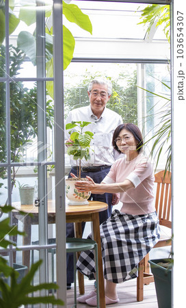 自宅のサンルームでガーデニングを楽しむ日本人のミドルの夫婦　 103654307