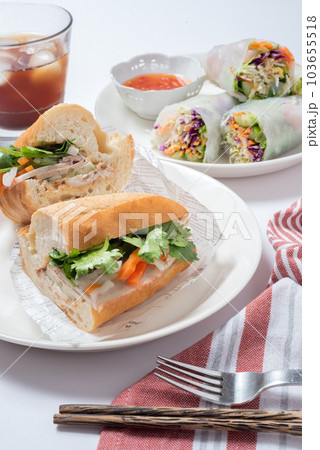 バインミーと生春巻き　ベトナム料理　縦位置 103655518