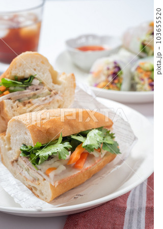 バインミーと生春巻き　ベトナム料理　縦位置 103655520