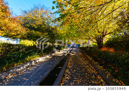 St. Patrick's Cathedral in Melbourne Australia 103655949