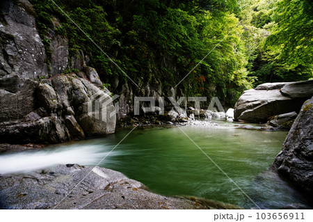 新緑の尾白川渓谷 103656911