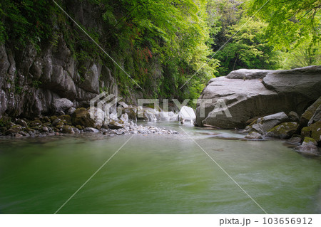 新緑の尾白川渓谷 新緑の尾白川渓谷 103656912