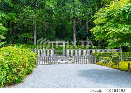 京都大原　後鳥羽天皇大原陵　順徳天皇大原陵 103656984