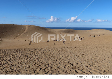 観光客でにぎわう秋の鳥取砂丘　《鳥取県》 103657123