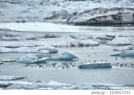 Glacial lake in Iceland 103657253