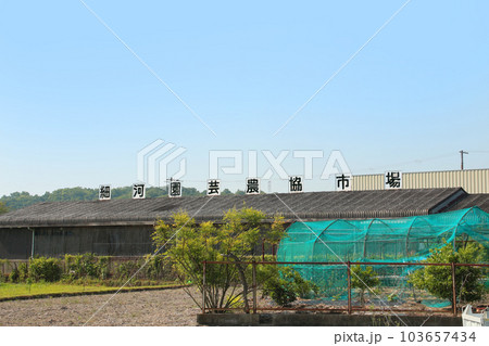 細河園芸農協市場 細河園芸農協市場 103657434