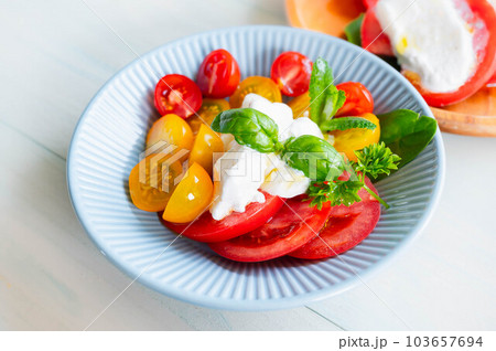 手作りモッツアレラチーズのカプレーゼ 103657694