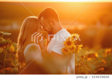 Young loving couple is kissing in a sunflower field. Portrait of couple posing in summer in field. 103658600