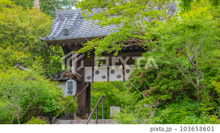 【神奈川県】新緑に包まれる覚園寺の山門 ※撮影協力「覚園寺」プロパティリリース取得済 【神奈川県】新緑に包まれる覚園寺の山門 ※撮影協力「覚園寺」プロパティリリース取得済 103658601