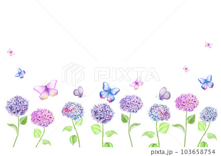 Watercolor drawing of a beautiful bouquet of hydrangeas and butterflies. Hand drawn hydrangea botanical illustration. Watercolor drawing of a beautiful bouquet of hydrangeas and butterflies. Hand drawn hydrangea botanical illustration. 103658754