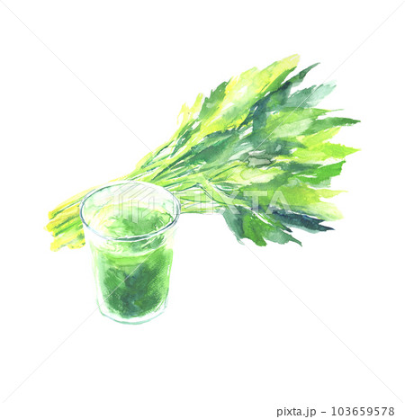 水彩で描いた明日葉と青汁のイラスト 103659578