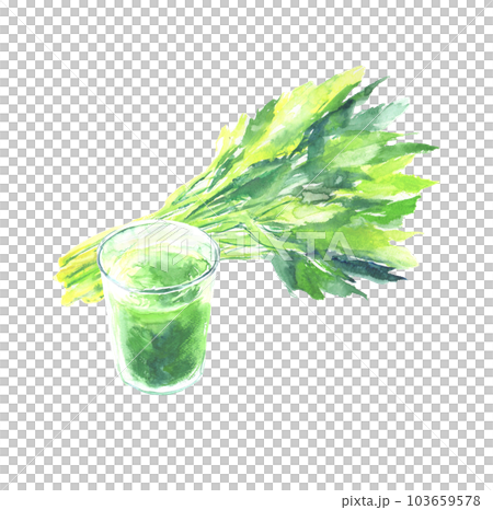 水彩で描いた明日葉と青汁のイラスト 103659578