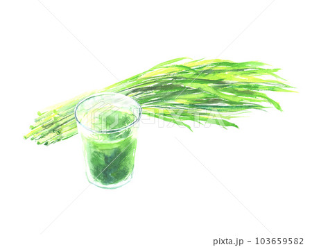 水彩で描いた大麦若葉と青汁のイラスト 水彩で描いた大麦若葉と青汁のイラスト 103659582