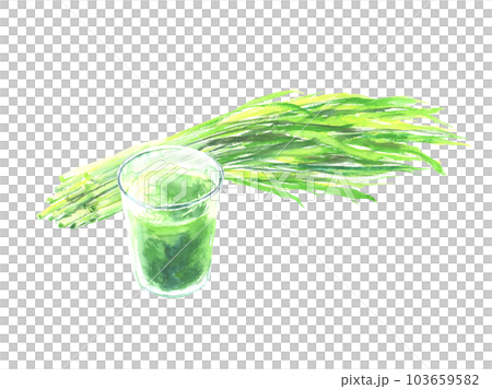 水彩で描いた大麦若葉と青汁のイラスト 水彩で描いた大麦若葉と青汁のイラスト 103659582