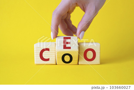 CEO and COO symbol. Businessman hand turns wooden cubes and changes word CEO to COO. Beautiful yellow background. CEO and COO and business concept. Copy space 103660027