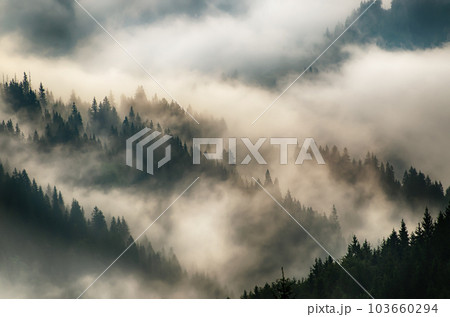 Misty mountain landscape 103660294