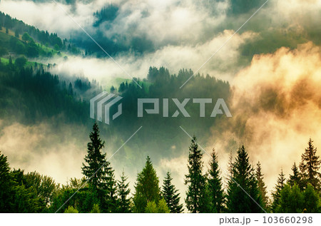 Misty mountain landscape Misty mountain landscape 103660298