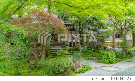 【神奈川県】新緑に包まれる覚園寺境内　※撮影協力「覚園寺」プロパティリリース取得済 103660525