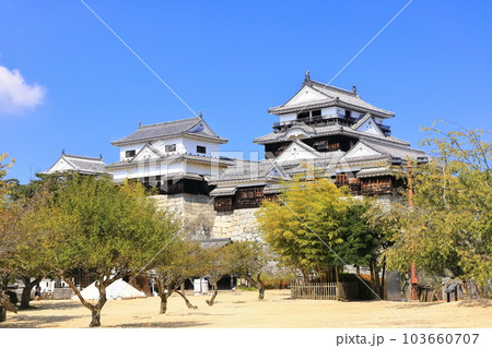 【愛媛県】松山城（現存12天守） 103660707