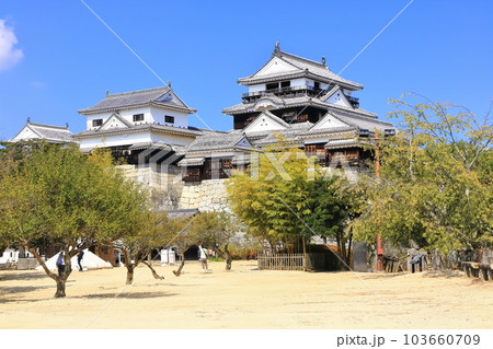 【愛媛県】松山城（現存12天守） 103660709