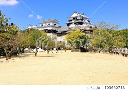 【愛媛県】松山城（現存12天守） 103660718