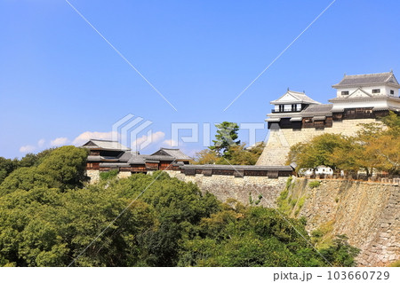 【愛媛県】松山城（現存12天守） 103660729
