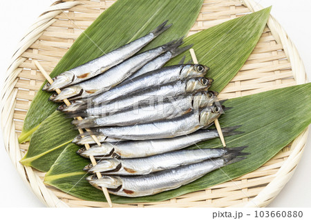 めざし　白バック 103660880