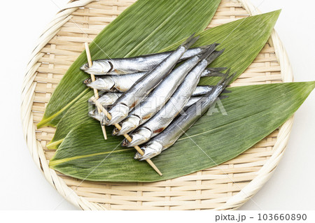 めざし　白バック 103660890