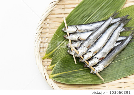 めざし　白バック 103660891