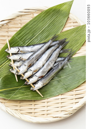 めざし　白バック 103660893