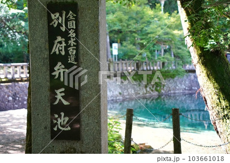 [山口県]別府弁天池 103661018