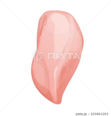 Chicken fillet meat part breast top view in cartoon style isolated on white background. Boneless raw ingredient Chicken fillet meat part breast top view in cartoon style isolated on white background. Boneless raw ingredient 103661203