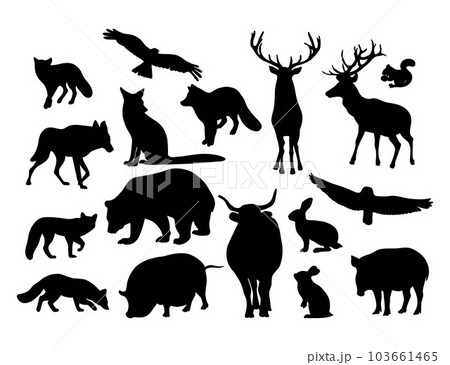 Collection silhouettes forest wild animals, predators and birds. Vector illustration. Isolated hand drawn black drawings of animals on white background. 103661465