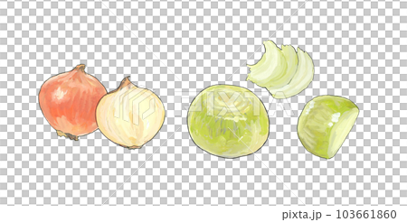 水彩風 玉ねぎのスライス イラスト 水彩風 玉ねぎのスライス イラスト 103661860