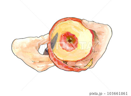 りんごを包丁で皮むき  103661861